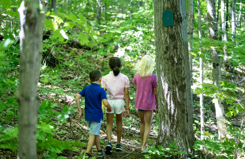 Hiking at Taboo Muskoka.