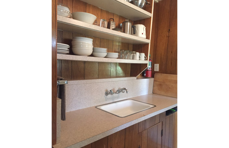 Cabin kitchen at Lake Elowin Resort.