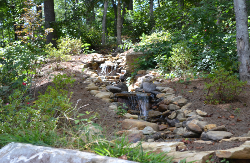 Stream at Sautee Mountain Retreat.