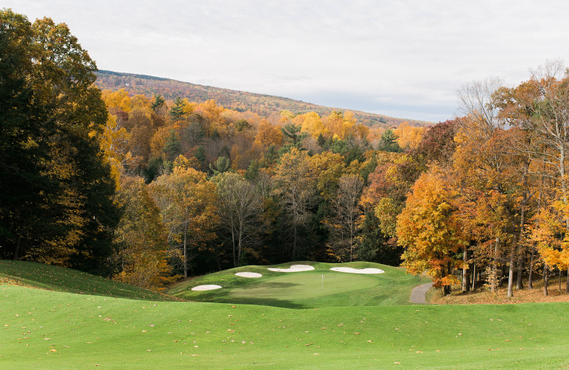 Bristol Harbour (Canandaigua, NY) Resort Reviews