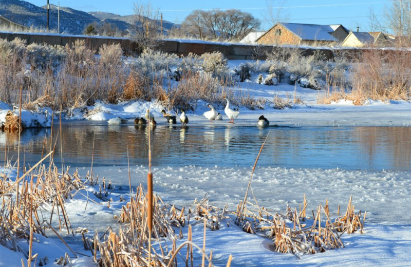 Pond view at Brian Head Vacation Rentals.