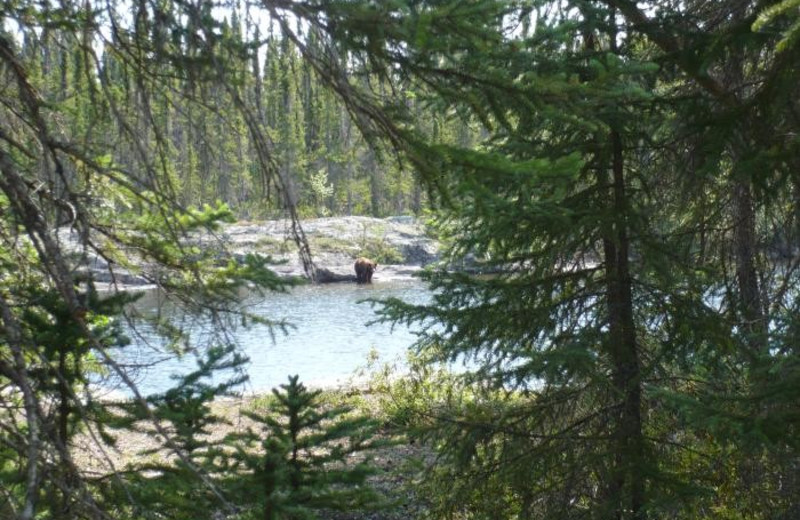 Milton Lake Lodge Saskatchewan (, Saskatchewan) Resort Reviews