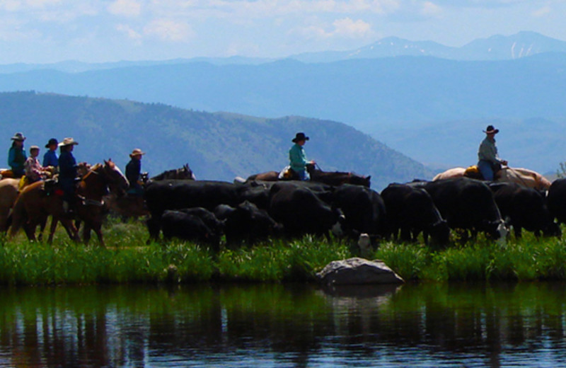 Activities at Latigo Ranch