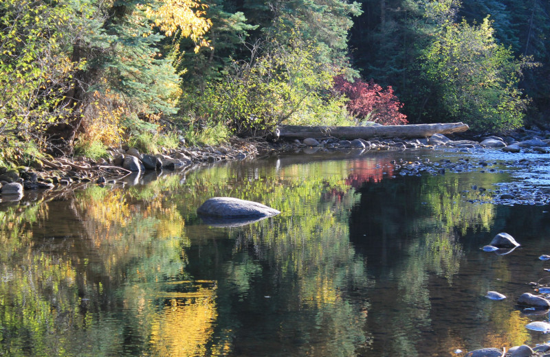 River at O-Bar-O Cabins.