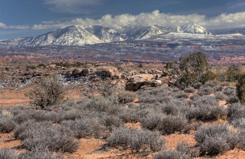 Area Surrounding Moab Under Canvas