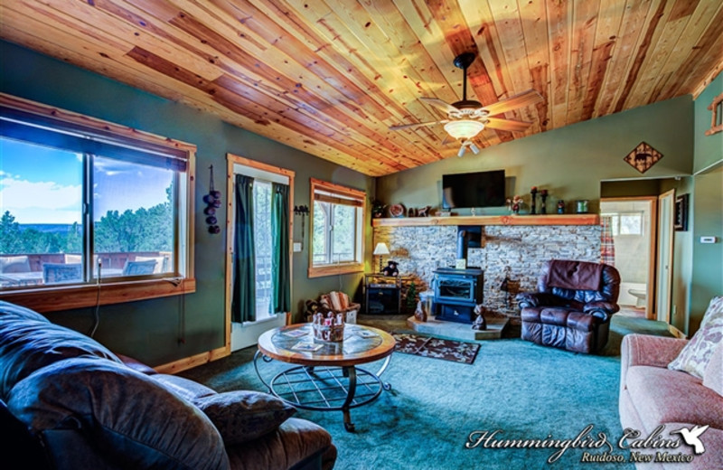 Living room at Hummingbird Cabins - Bear Crossing Vacation Rental