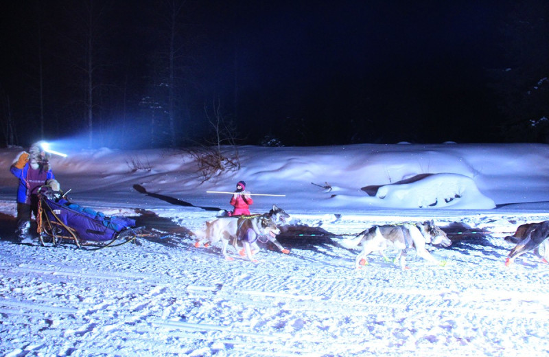 Dog sled at Northwoods Lodge.