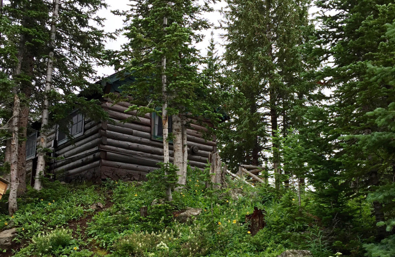 Cabin exterior at Trappers Lake Lodge & Resort