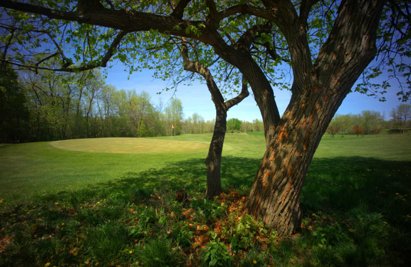 Golf course at Apple Island Resort.