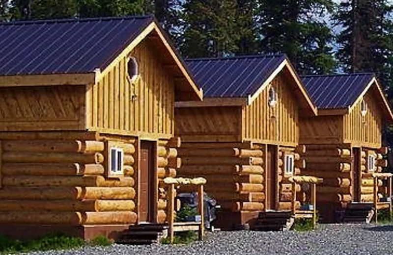 Cabin exterior at Sleepy Bear Cabins.