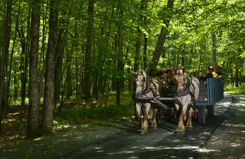 Wagon rides at Woodloch Resort.