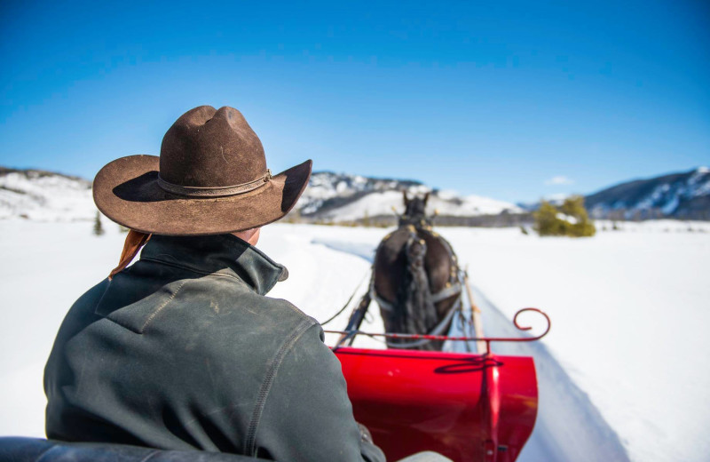 Jump on the sleigh and enjoy the views