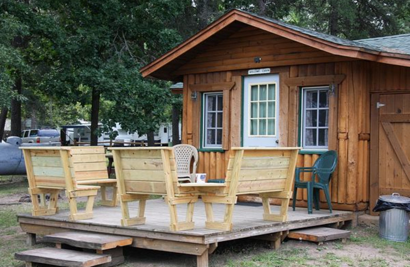 log cabin resorts curtis