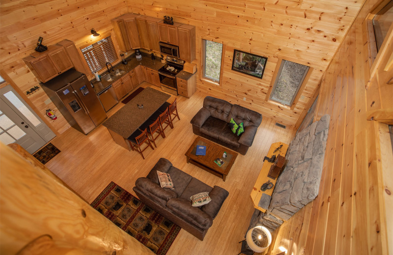 Great room at American Patriot Getaways - Happy Bear's Hideaway.