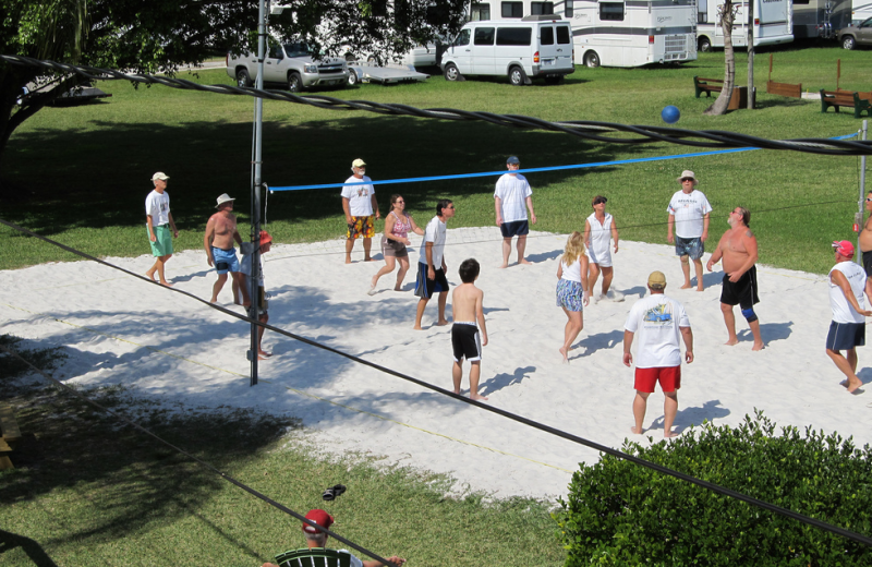 Volleyball at Miami Everglades.