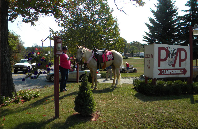 Exterior view of Pocono Vacation Park.