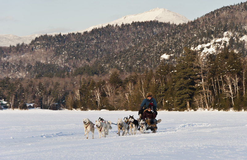 Go on a dog-sled ride in Lake Placid at Lake Placid Vacation Homes.