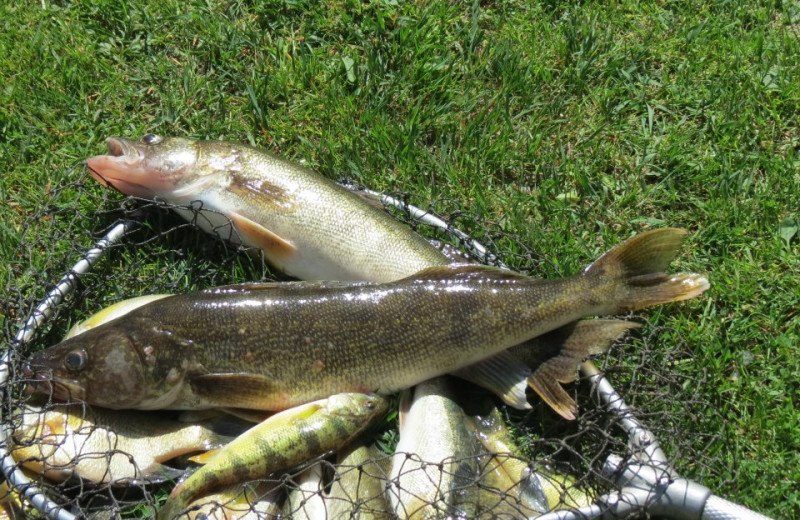 Fishing at Wil-O-Wood Resort.