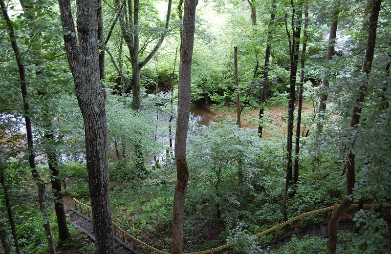 River view at Little Bear Rentals.