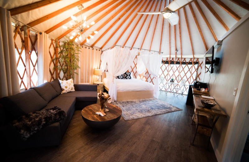 Yurt interior at Escalante Yurts.