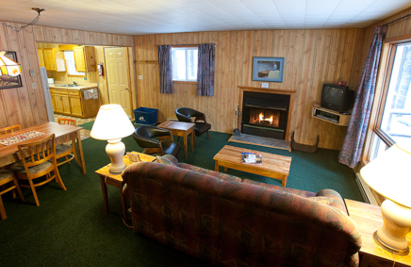 Cabin living room at Blue Spruce Resort.