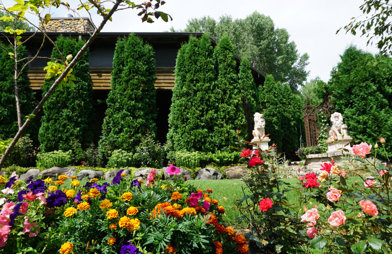 Garden at Adeline's House of Cool.