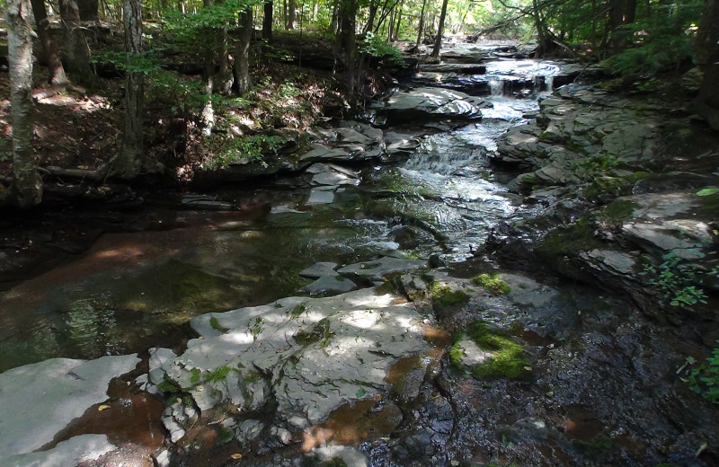 Crystal Brook Resort (Round Top, NY) Resort Reviews