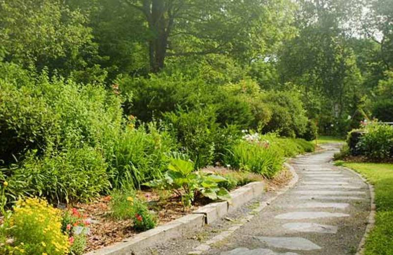Walking trails at Rabbit Hill Inn.