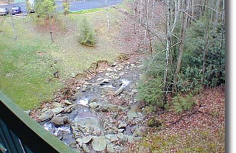 Outdoor Creek at Baskins Creek Cabin Rentals