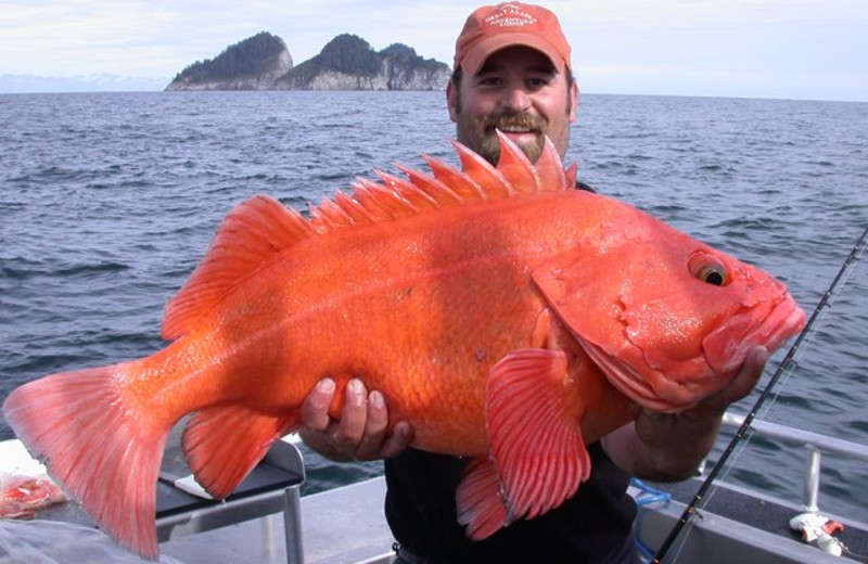 Ocean fishing at Great Alaska Adventure Lodge.