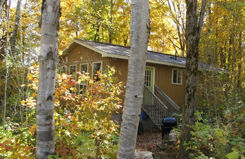 Cottage exterior at Ogopogo Resort.