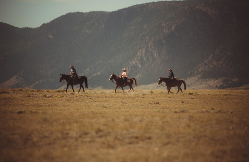 Horseback riding at Vee Bar Guest Ranch.