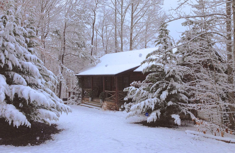 Winter at Cabin Rentals of Georgia.