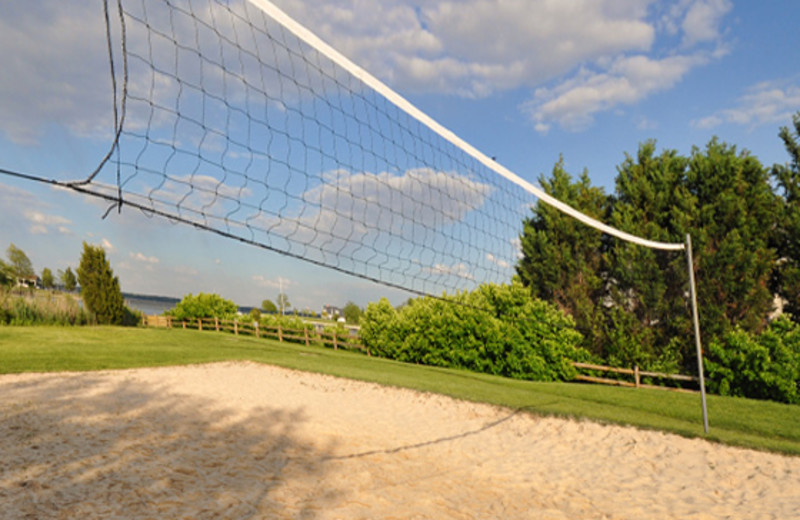 Play a game of volleyball right onsite at Harbourtowne Golf Resort