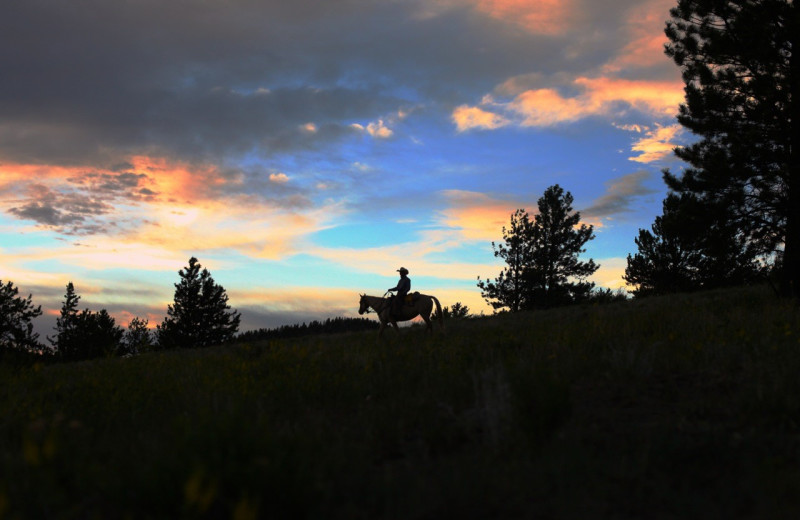 Riding at Elk Mountain Ranch.