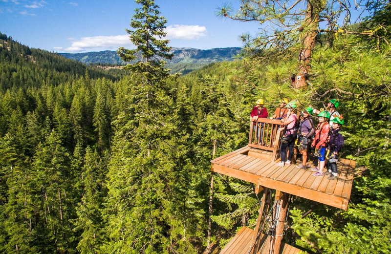 Zip line at Mountain Springs Lodge.