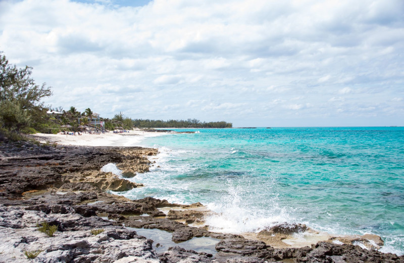 Shoreline at Paradise Island Beach Club.