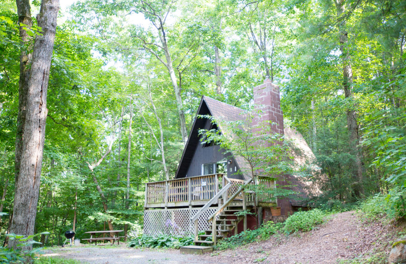 Cabin exterior at Montfair Resort Farm.