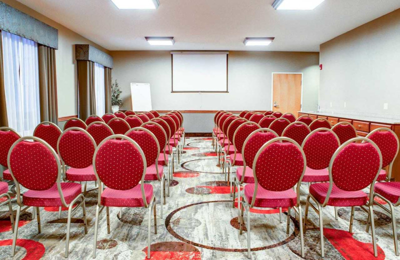 Meeting room at Comfort Suites Stevensville - St. Joseph.