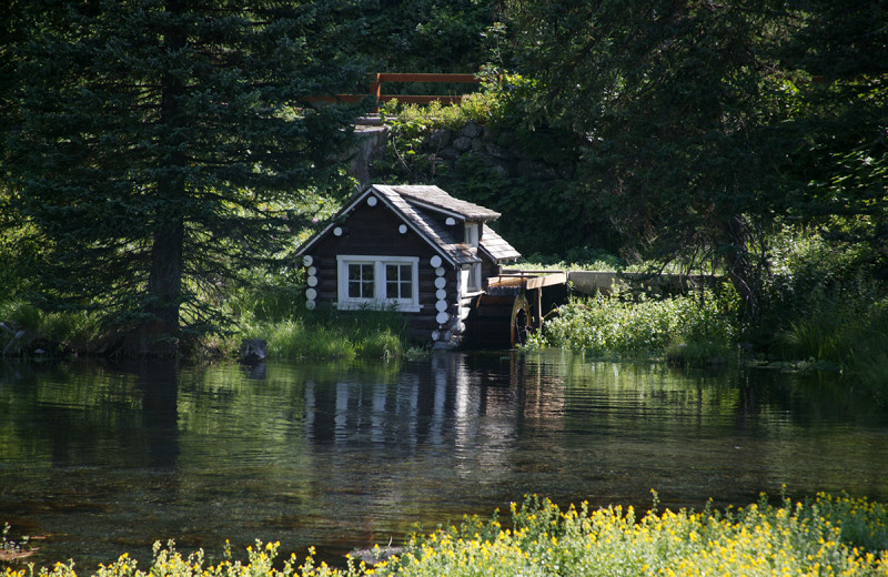 Historic cabin near Island Park Reservations.