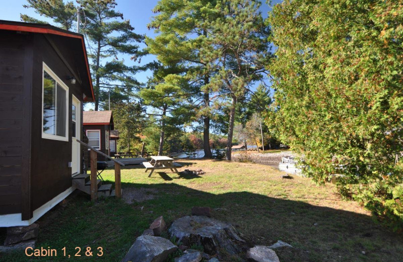 Cabin exterior at Wolseley Lodge.