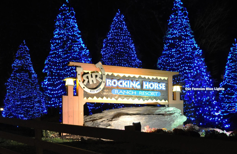 Christmas trees at Rocking Horse Ranch Resort.