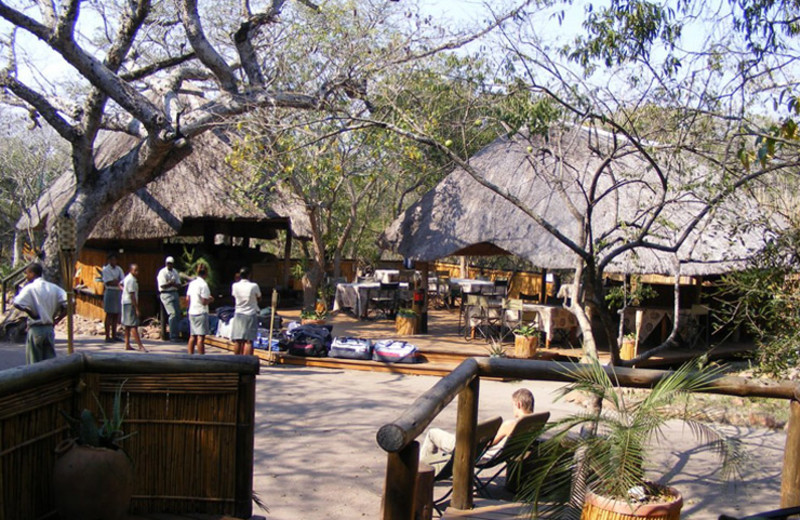 Exterior view of Tembe Elephant Park.