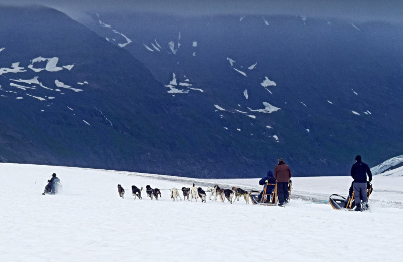 Dog sled at The Alaska Adventure Company.