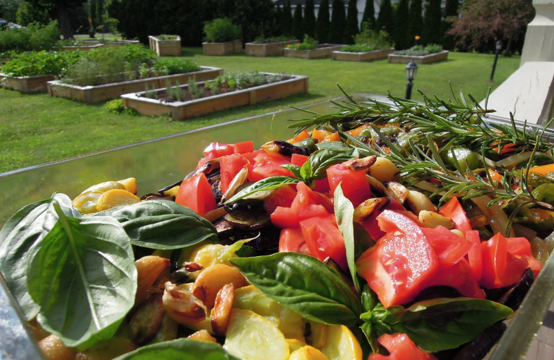 The garden at Albergo Allegria.