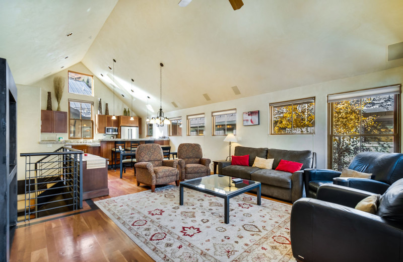 Rental living room at Accommodations in Telluride.