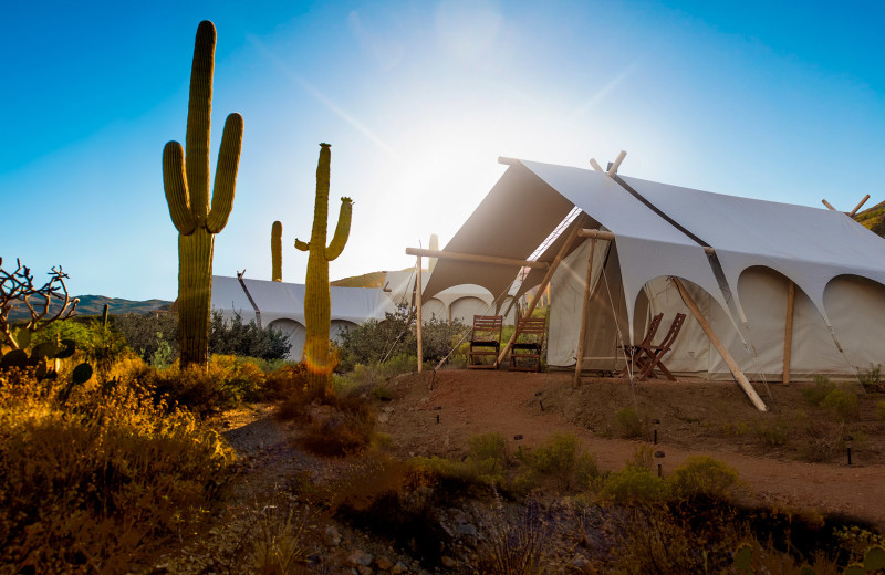 Glamping at Tanque Verde Ranch.