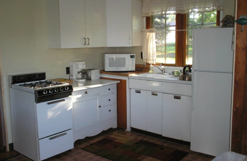 Cabin kitchen at Lake Leelanau Narrows Resort.