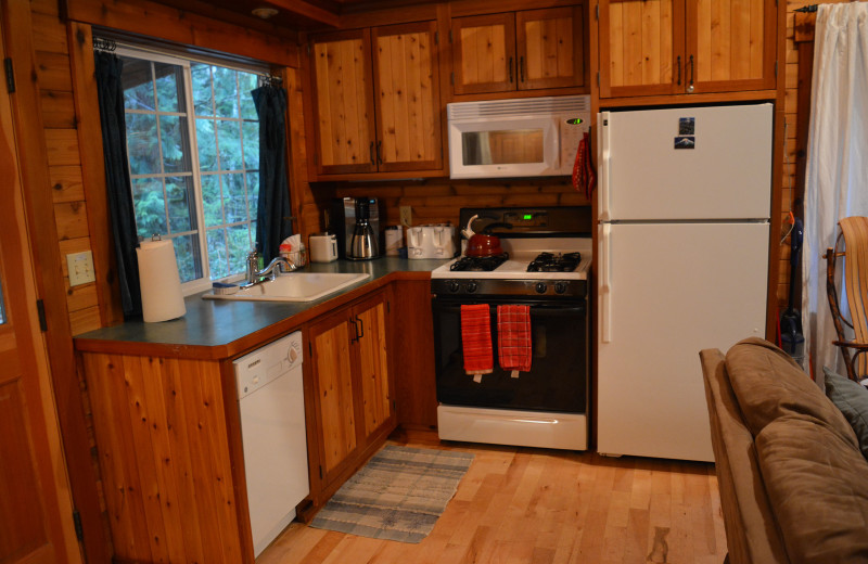 Cabin kitchen at GreatGetaways.com.