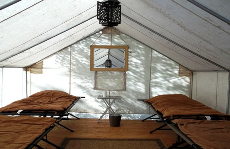 Camping at South Fork Lodge.